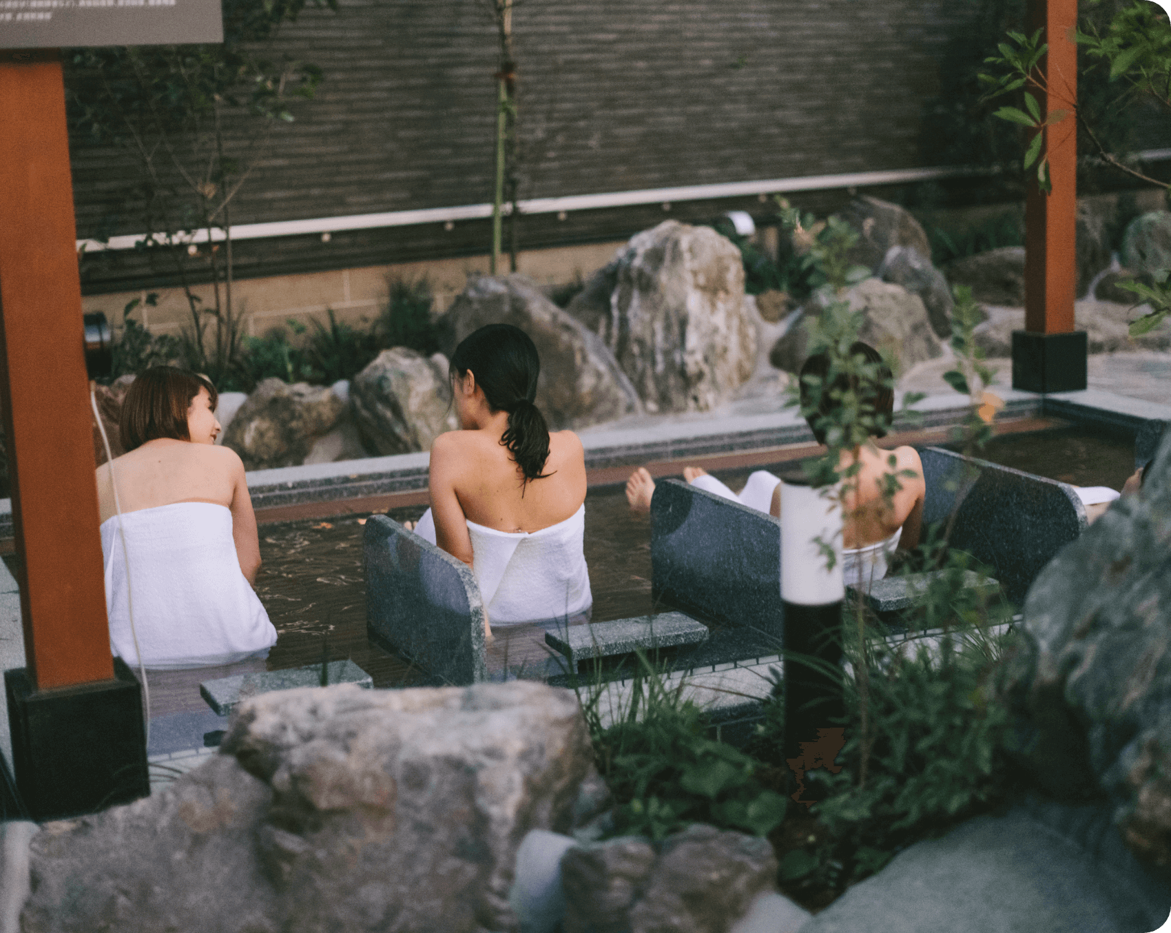 乾杯している写真